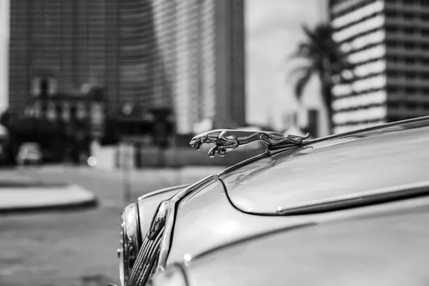 カジノ ゴールデン リールズ Android/iOS アプリ